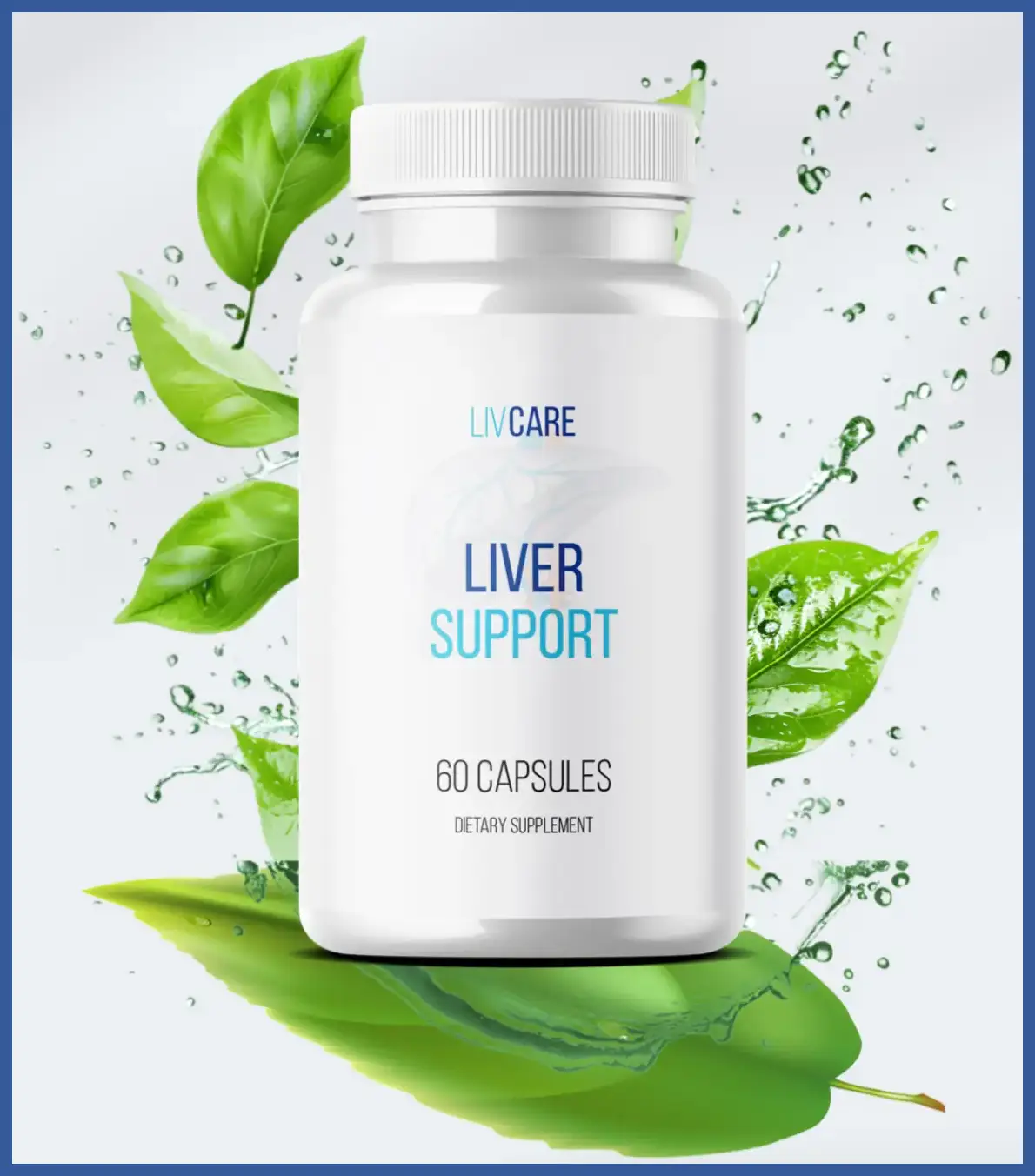 LivCare Supplement